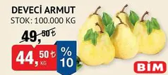 ARMUT DEVECİ KG ARMUT DEVECİ KG